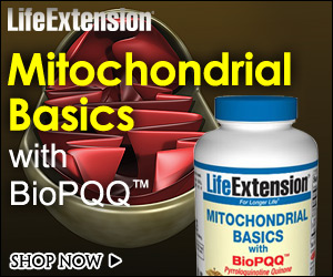 Mitochondrial Basics w/ Bio PQQ - Life Extension